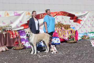 Выставка СРЕДНЕАЗИАТСКИХ ОВЧАРОК - 2 ранг, КЧК г. МО, Коломна