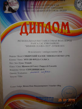 Монопородная выставка собак ранга ПК (СЕВЕРНЫЕ ЕЗДОВЫЕ СОБАКИ) г. Иркутск