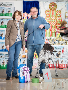 Выставка собак всех пород ранга САС ЧФ г. Владимир "ВЛАДИМИРСКАЯ ЗИМА - 2022"